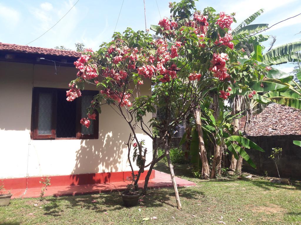 شقة Pradeepa House أونا واتونا المظهر الخارجي الصورة